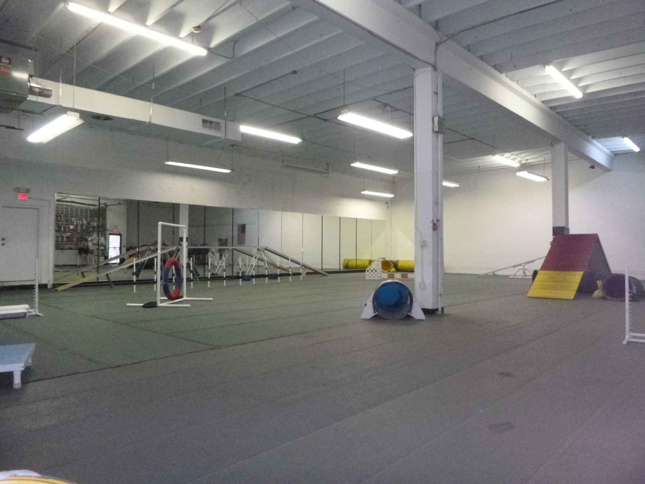 Location | Paws In Motion - Indoor Air Conditioned Dog ...